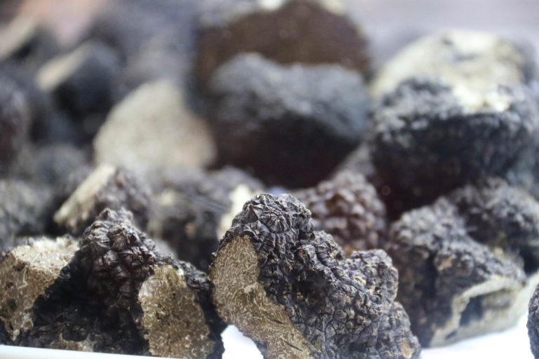 Truffes