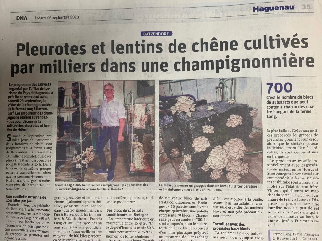 article journal presse francis lang ellochampi