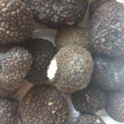 truffes-noires