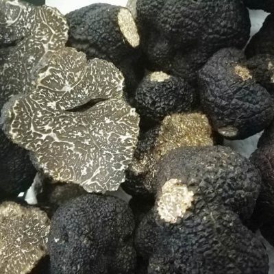 champignons truffes noires ellochampi